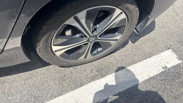 2019 Nissan LEAF SL PLUS