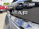 2025 Leaf Thumbnail 11