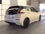 2024 Leaf Thumbnail 2