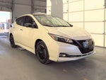 2024 Leaf Thumbnail 3