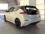 2024 Leaf Thumbnail 4