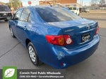 2010 Corolla Thumbnail 7