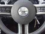 2014 Mustang Thumbnail 19