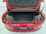 2014 Mustang Thumbnail 19