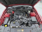 2014 Mustang Thumbnail 20