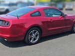 2014 Mustang Thumbnail 9