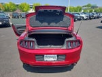 2014 Mustang Thumbnail 21