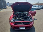 2014 Mustang Thumbnail 23