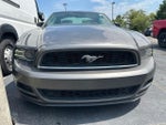 2014 Mustang Thumbnail 2