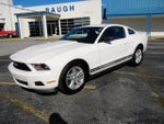 2011 Mustang Thumbnail 2