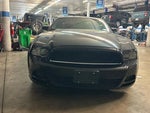 2014 Mustang Thumbnail 2