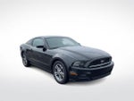 2014 Mustang Thumbnail 3