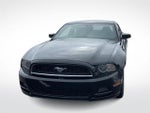 2014 Mustang Thumbnail 4