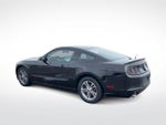 2014 Mustang Thumbnail 7