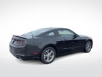 2014 Mustang Thumbnail 9