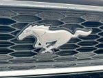 2014 Mustang Thumbnail 12