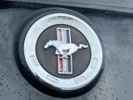 2014 Mustang Thumbnail 13