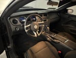 2014 Mustang Thumbnail 6