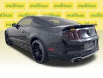 2014 Mustang Thumbnail 11