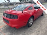 2013 Mustang Thumbnail 5