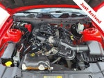 2013 Mustang Thumbnail 28