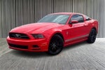 2013 Mustang Thumbnail 1