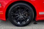 2013 Mustang Thumbnail 5