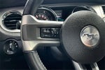 2013 Mustang Thumbnail 13