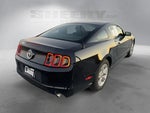 2014 Mustang Thumbnail 12