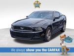 2014 Mustang Thumbnail 1