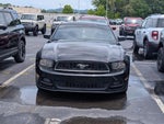 2014 Mustang Thumbnail 5