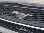 2014 Mustang Thumbnail 20