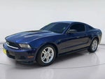 2011 Mustang Thumbnail 1
