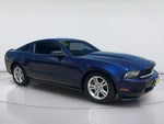 2011 Mustang Thumbnail 3