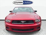 2011 Mustang Thumbnail 11