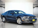 2013 Mustang Thumbnail 2