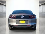2013 Mustang Thumbnail 8
