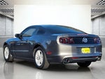 2013 Mustang Thumbnail 9