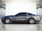 2013 Mustang Thumbnail 10