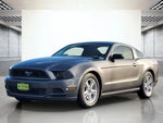 2013 Mustang Thumbnail 11