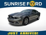 2013 Mustang Thumbnail 1