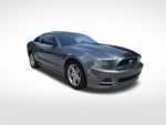 2013 Mustang Thumbnail 2