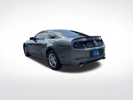 2013 Mustang Thumbnail 6