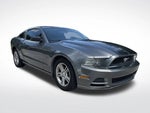 2013 Mustang Thumbnail 8