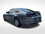 2013 Mustang Thumbnail 12