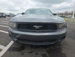 2010 Mustang Thumbnail 3