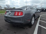 2010 Mustang Thumbnail 8