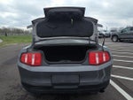 2010 Mustang Thumbnail 10