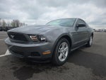 2010 Mustang Thumbnail 2