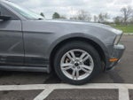 2010 Mustang Thumbnail 4